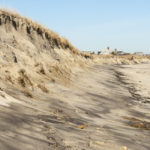 Controlling Coastal Erosion and Creating Living Shorelines