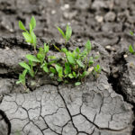 Foundations on Expansive Soils
