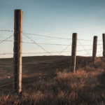 Resolving Conflicts of Surveying Evidence