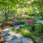 Rain Garden Design, Construction, and Maintenance