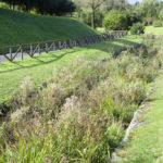 Stormwater BMPs: Pretreatment to Green Infrastructure (GI) and Biofiltration Systems