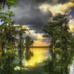 Trends and Opportunities in Wetland Preservation, Restoration, Creation and Enhancement