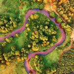 Federal and State Nutrient Reduction Strategies and Plans