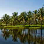 Florida Stormwater Management 2022
