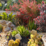 Diving Deep into Dynamic Ecological Landscaping with Native Plants
