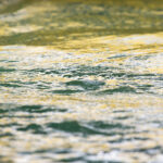 A Drainage Technology Update
