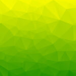 Evaluating Eco-Friendly Insulation Options
