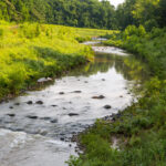 Stream Restoration 101: Tips and Tricks for Design Professionals