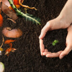 Keeping Plants Alive Using Natural Fertilizer
