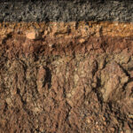 Difficult Soils in Design and Construction