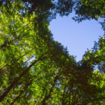 Redefining Sustainability for a Turbulent 21st Century