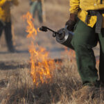 Wildfire and the Built Environment: Landscape and Construction Issues