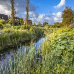 Stormwater Filter Strips and Swales: From Site Selection to Long-Term Maintenance