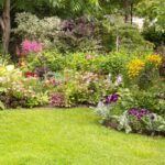 The Language of Horticulture: A Primer